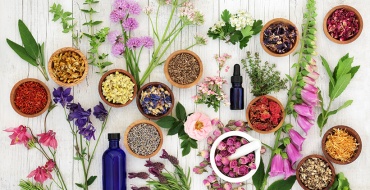 Naturopathie - Niveau 2