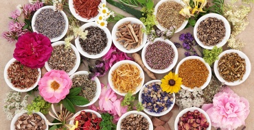 Naturopathie - Niveau 1